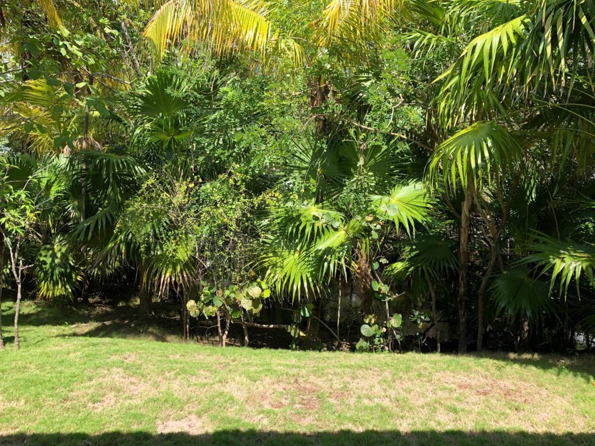 Blue Diamond Luxury Boutique - All Inclusive Adults Only El Marlyn Azul Extérieur photo